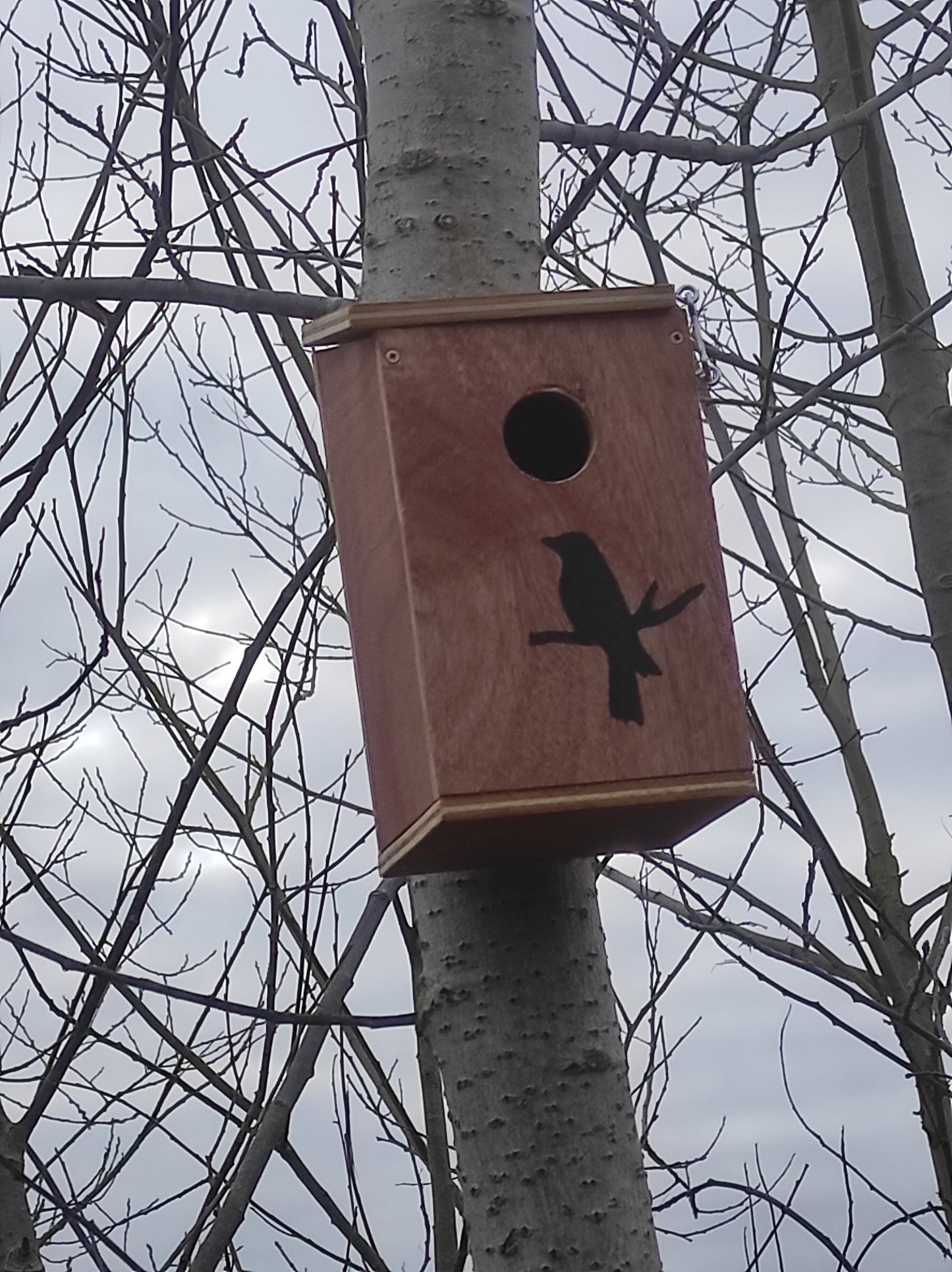 Nichoir Oiseaux Extérieur (bois aspect brûlé) - BO001/2